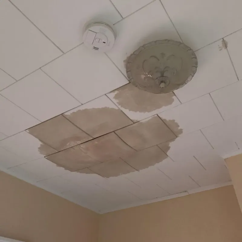 Ceiling Water Damage Repair in Timonium, MD