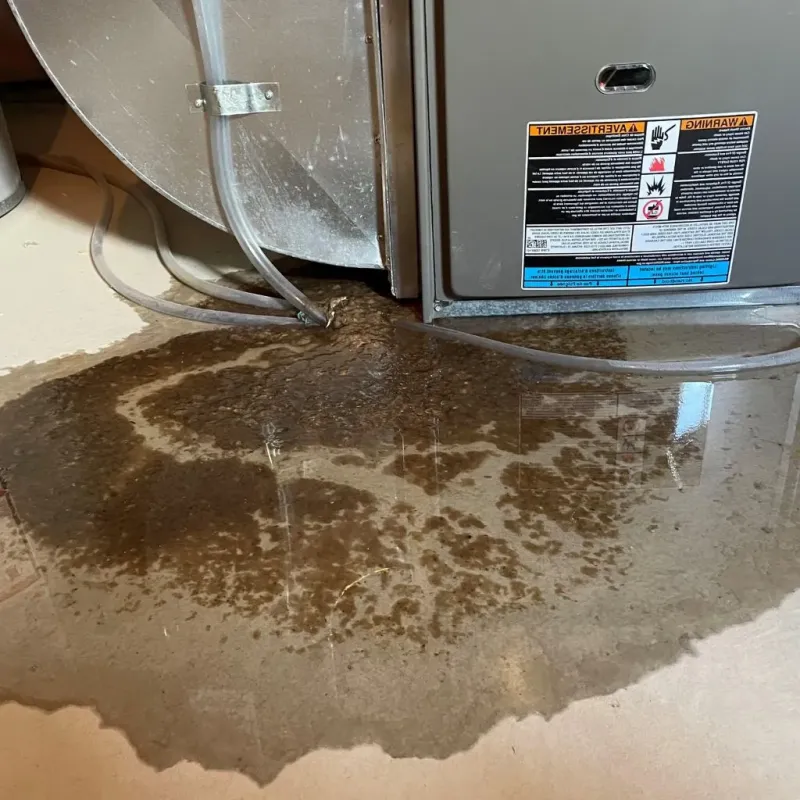 Pipe Burst and Leak Restoration in Timonium, MD